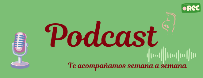 Blog sobre embarazo gemelar con información útil para padres de gemelos y mellizos