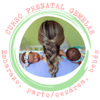 Mamá de gemelos Curso prenatal mellizos